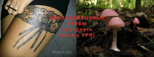 сатива Алексин