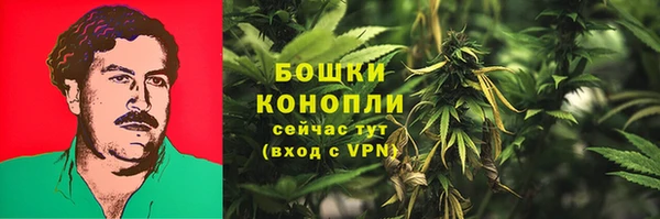 сатива Алексин