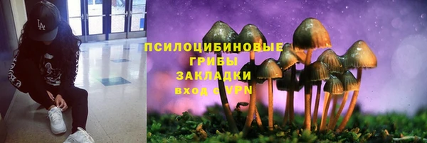 сатива Алексин