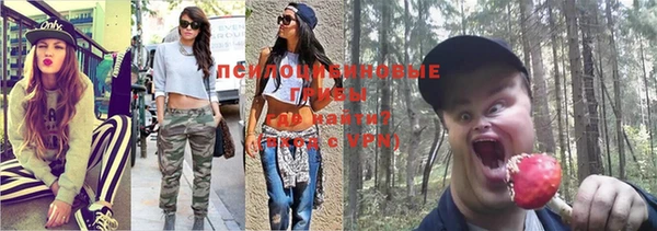 spice Алексеевка