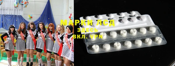 прущие грибы Елизово