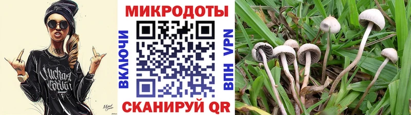 наркошоп  kraken сайт  Псилоцибиновые грибы Magic Shrooms  Невьянск 
