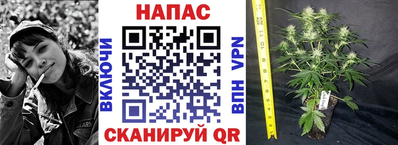 Шишки марихуана Amnesia  где продают   Невьянск 